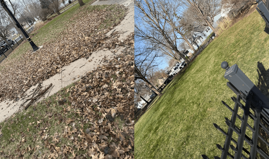 Yard Waste Removal